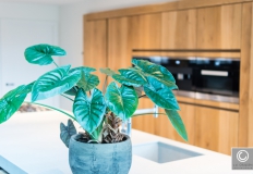 Van der Cruijsen Interieurbouw-3939