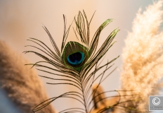 Van-der-Cruijsen-interieurbouw-2019