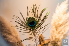 Van-der-Cruijsen-interieurbouw-2019