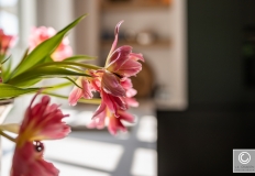 Van-der-Cruijsen-interieurbouw-5166