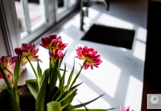 Van-der-Cruijsen-interieurbouw-5181